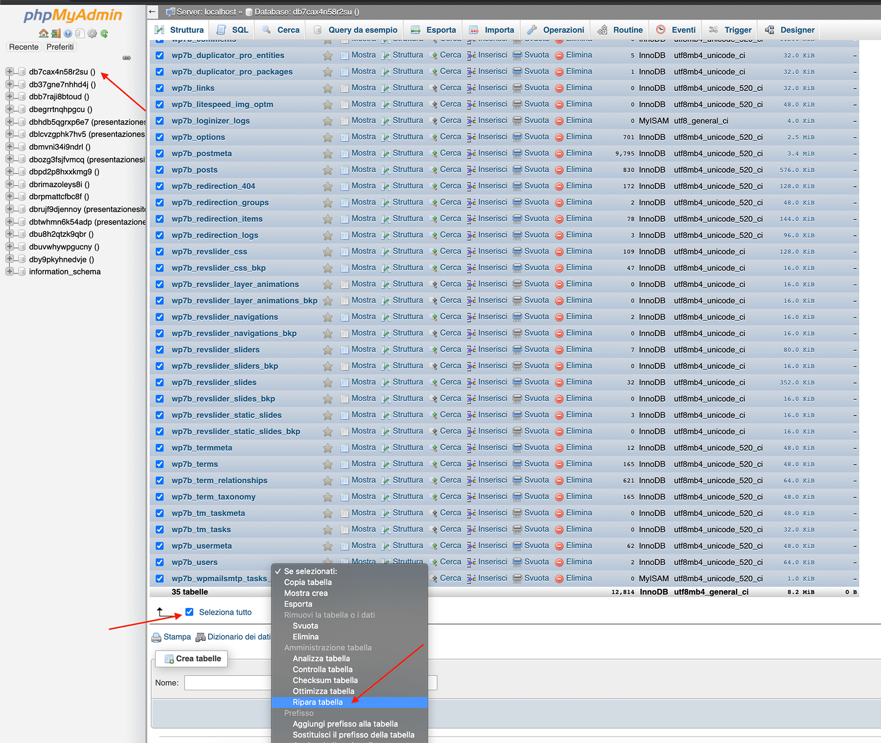 Come riparare un database corrotto di WordPress 6 riparazione tabelle database